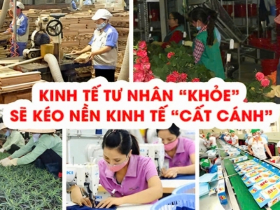 Chiến lược phát triển kinh tế tư nhân của Việt Nam và kinh nghiệm thành công Luật hoá của các nước