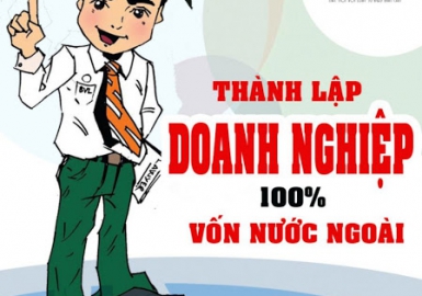 Thành lập công ty cổ phần, trách nhiệm hữu hạn, liên doanh, 100% vốn nước ngoài