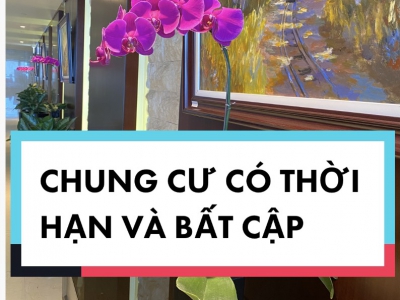 Sự bất cập của quy định chung cư có thời hạn dưới góc nhìn của Luật sư Vũ Ngọc Dũng