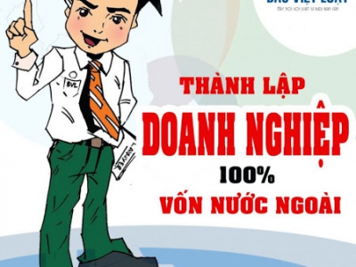 Thành lập công ty cổ phần, trách nhiệm hữu hạn, liên doanh, 100% vốn nước ngoài